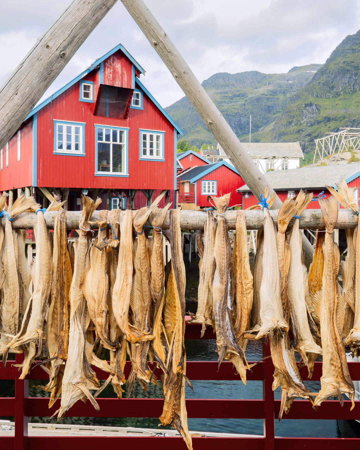 Smaki kuchni Północy 